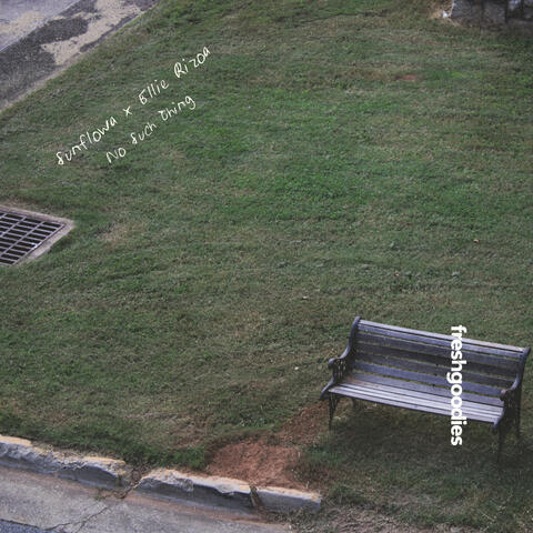 No Such Thing album art