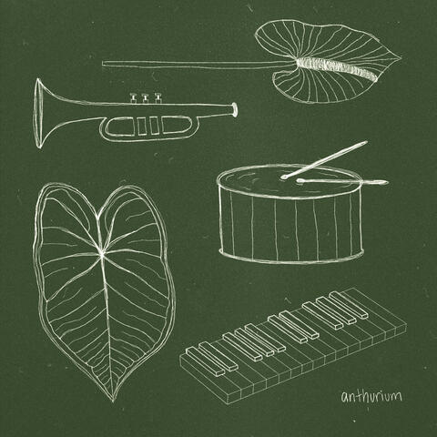 Anthurium album art