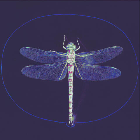 Aloha Centauri album art