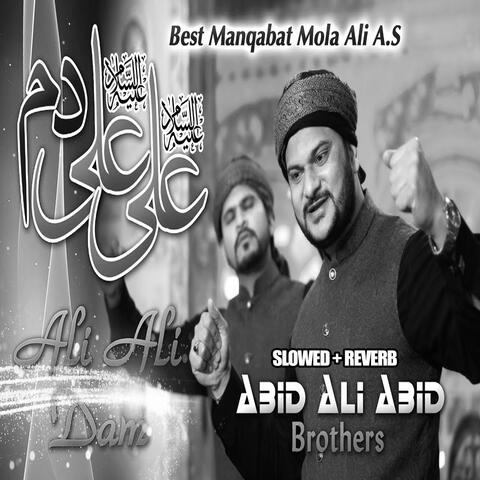 Ali Ali Dam Lofi Version album art