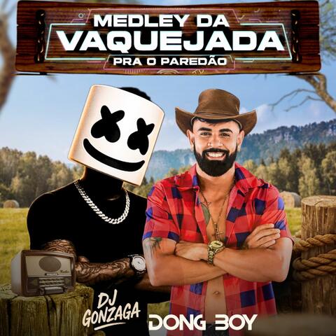 Medley Do Paredão pra Vaquejada, Dj Gonzaga album art