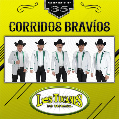 Corridos Bravíos - Serie 35 album art