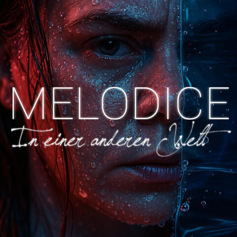 In Einer Anderen Welt album art