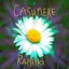 Cashmere album artwork