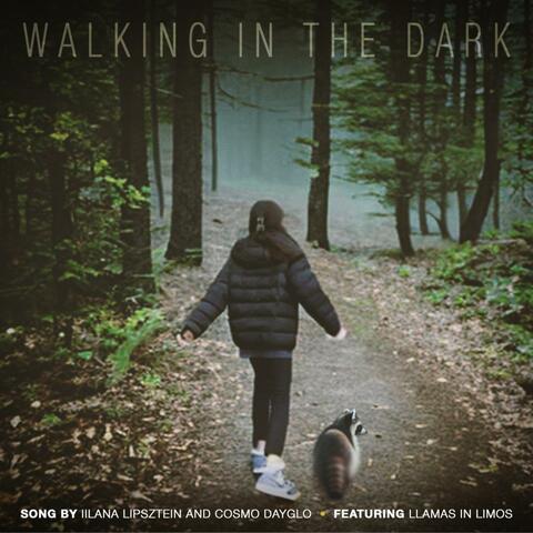 Walking In The Dark album art