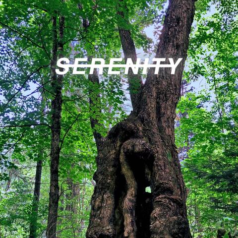 SERENITY album art