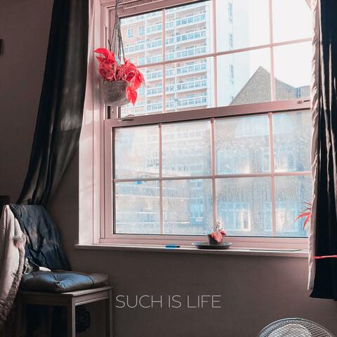 Such Is Life album art