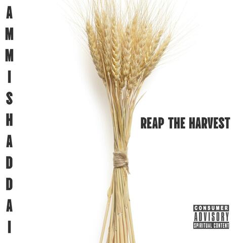 Reap The Harvest album art