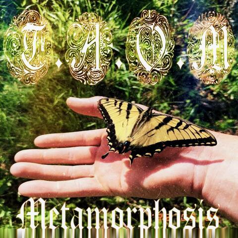 Metamorphosis album art
