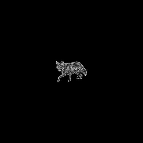 The Wild Coyote Sessions Volume 2 album art