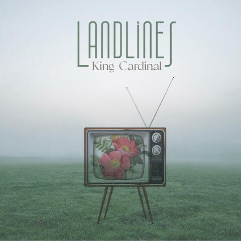 Land Lines album art
