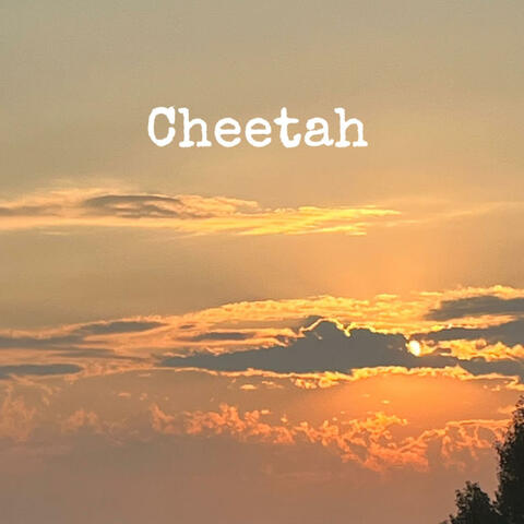 Cheetah album art