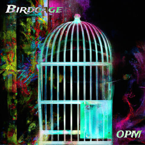 Birdcage (feat. Darren Emerson) album art