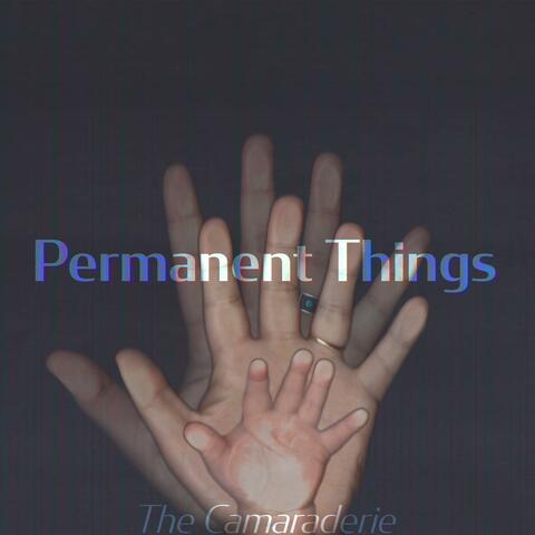 Permanent Things album art