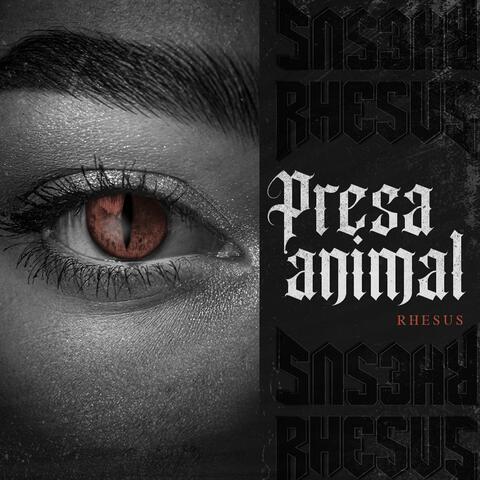 Presa Animal album art