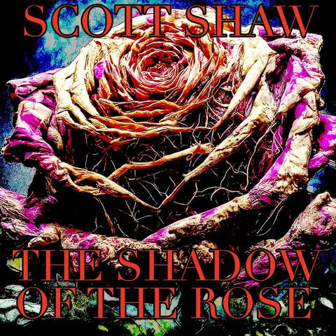 The Shadow of the Rose album art