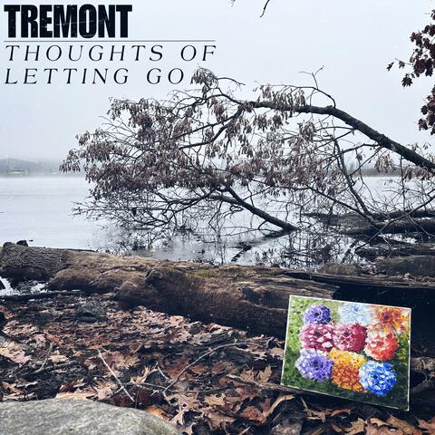 Thoughts of Letting Go album art