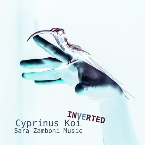 Inverted Cyprinus Koi album art