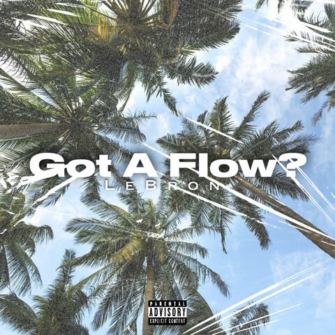 Got A Flow? album art