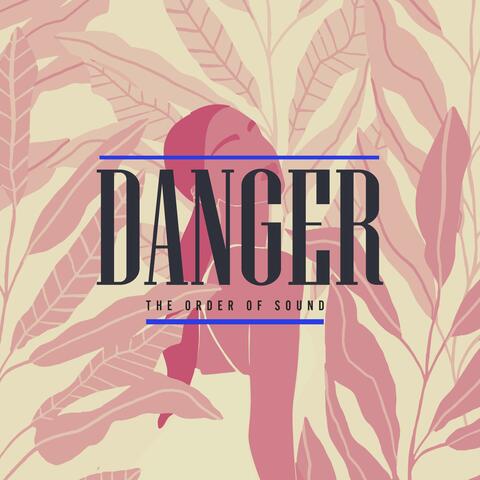 Danger album art