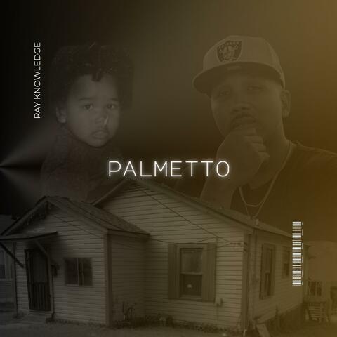 Palmetto album art
