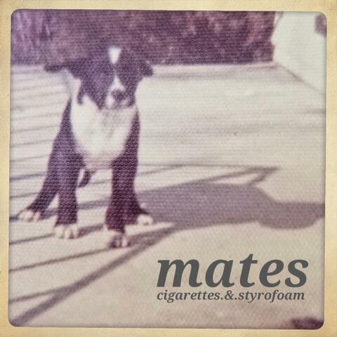 cigarettes & styrofoam album art
