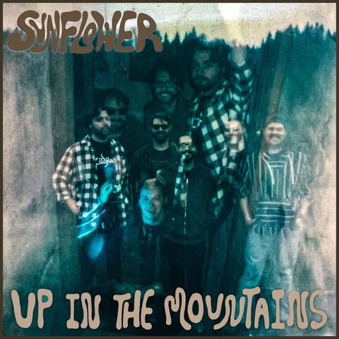 Up In The Mountains album art