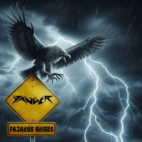 Pajaros grises album art