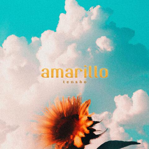 Amarillo album art