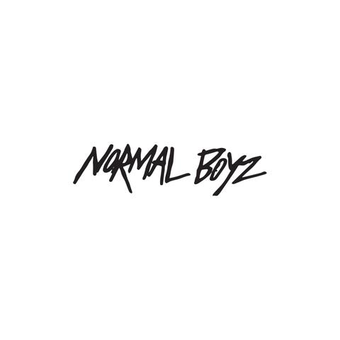 Normal Boyz album art