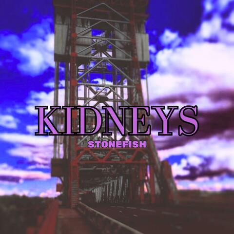 Kidneys album art