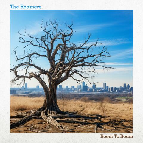 Room To Roam album art