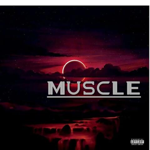 Muscle album art