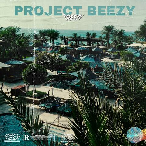 Project Beezy album art