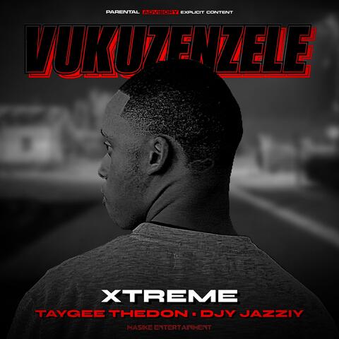 Vukuzenzele (feat. Taygee TheDon & Djy JazziY) album art