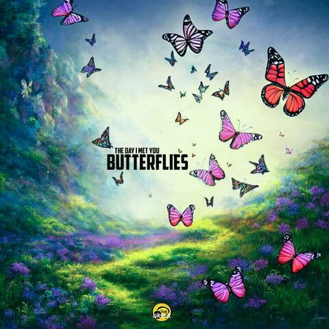 Butterflies album art