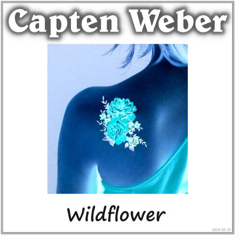 Wildflower album art