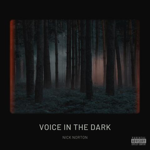 VOICE IN THE DARK album art