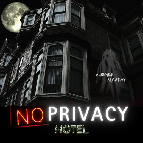 No Privacy Hotel album art