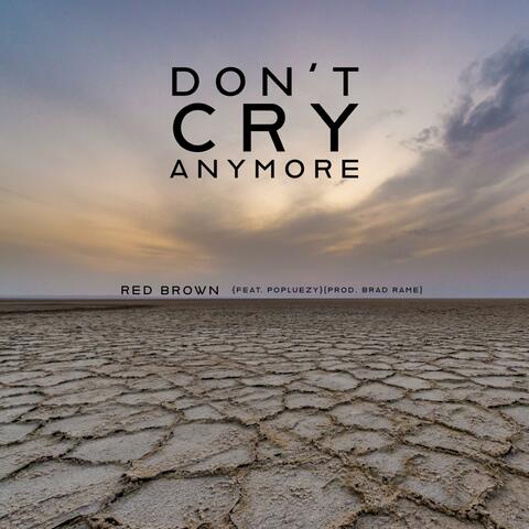 Don't Cry Anymore (feat. Popluezy) album art