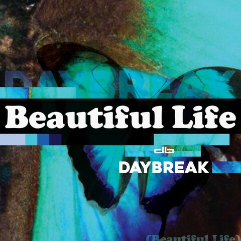 Beautiful Life album art