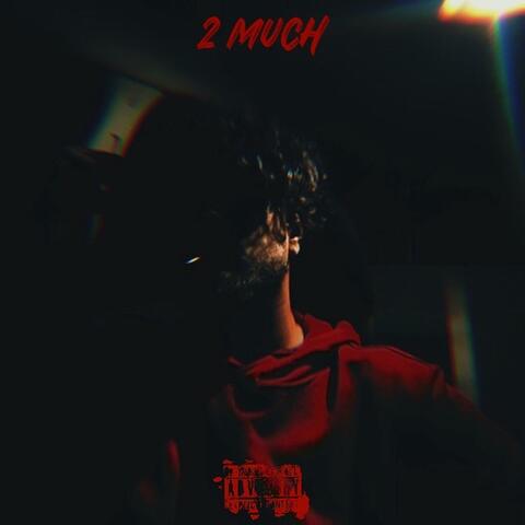 2 much (feat. Dolo.est) album art