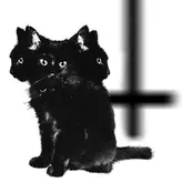 Image of H3LL