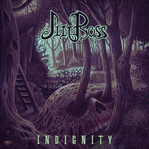 Indignity album art