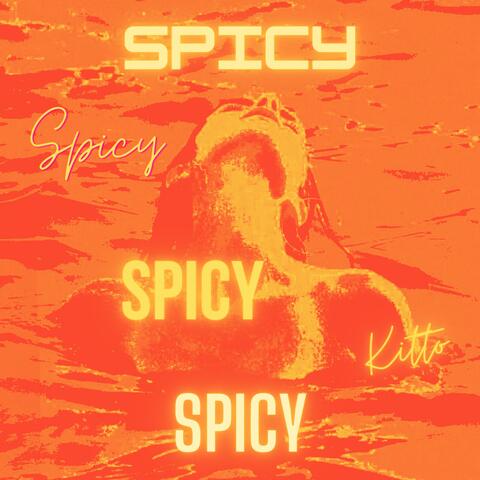 Spicy album art