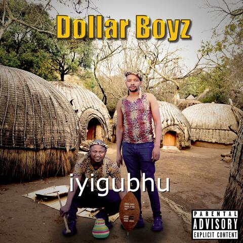 Iyigubhu album art