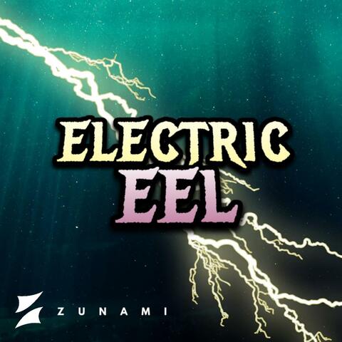 Electric Eel album art