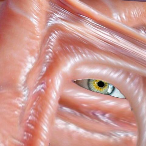 Cruel Youth (The Remixes) album art