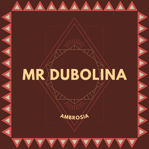 Mr Dubolina album art