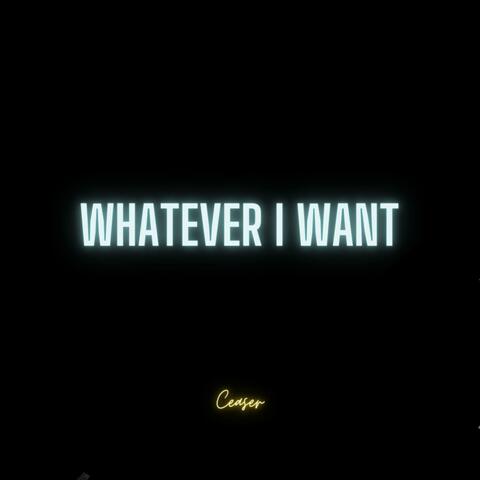 What Ever I Want album art